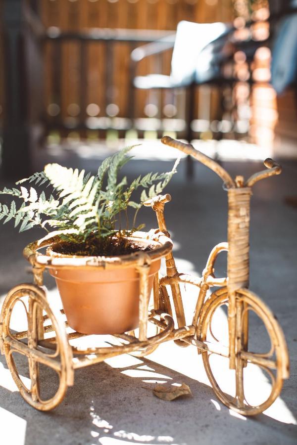 فيلا Wynkoop At Carlton: Taste Of Europe, Walk To Wineries, Dog Friendly المظهر الخارجي الصورة